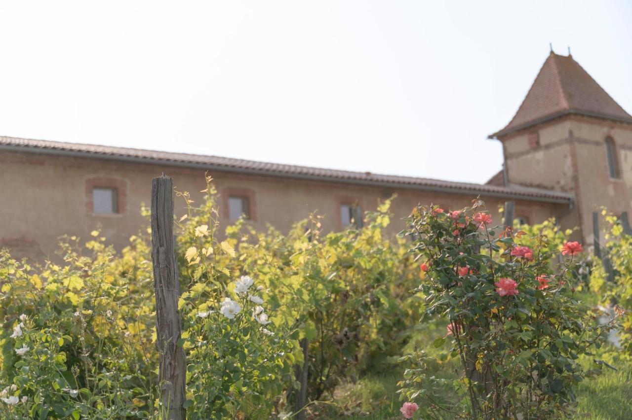 Hotel Escons Domaine De Charme à Saint-Sulpice-sur-Leze Extérieur photo